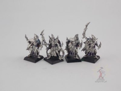 Black Ark Corsair elf