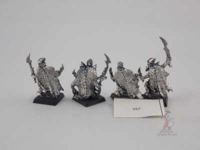 Black Ark Corsair elf