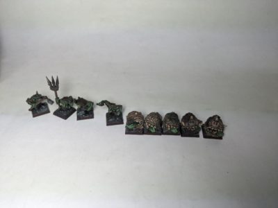 Goblin Squig Orc Ork warhammer fantasy battle aos 500/1