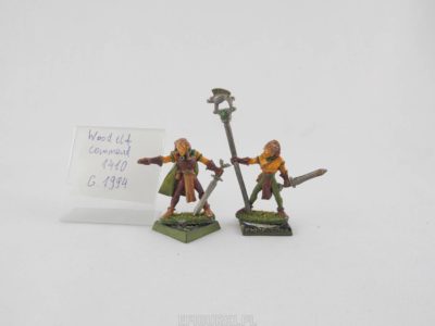 Wood Elf Command Grenadier