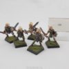 Wood Elf Warriors Harlequin