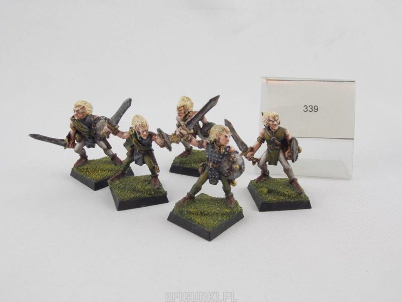 Wood Elf Warriors Harlequin