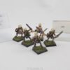 Wood Elf Warriors Harlequin