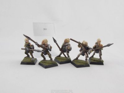Wood Elf Warriors Harlequin