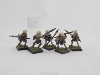 Wood Elf Warriors Harlequin