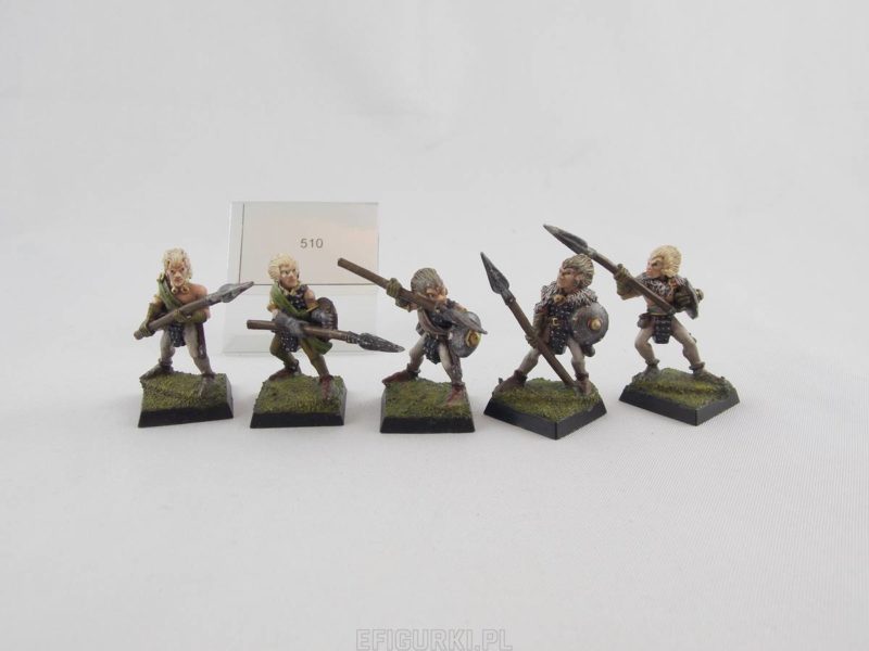 Wood Elf Warriors Harlequin