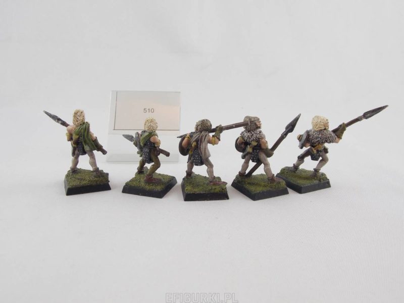Wood Elf Warriors Harlequin