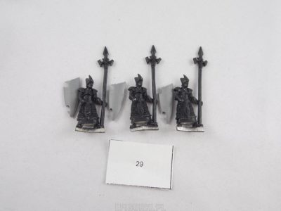 Shadow Elf Spearmen Harlequin