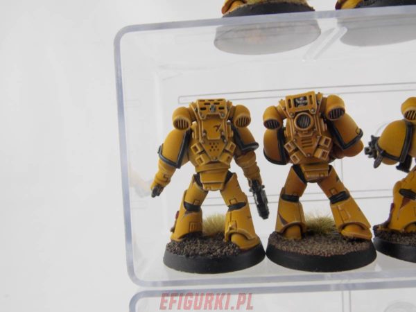 Imperial Fist Tactical Squad