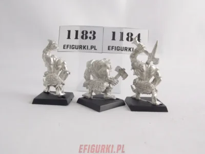 Savage Orc Ork Orruk Metal Warhammer Fantasy Aos 1180-1