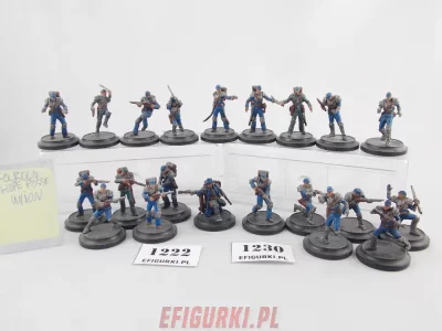 Forlorn Hope Posse Unnion Wild west Exodus 1222-30