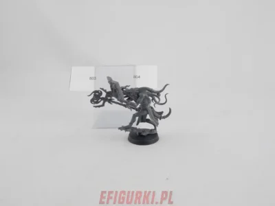 Herald Of Tzeentch Chaos Warhammer fantasy Aos 3