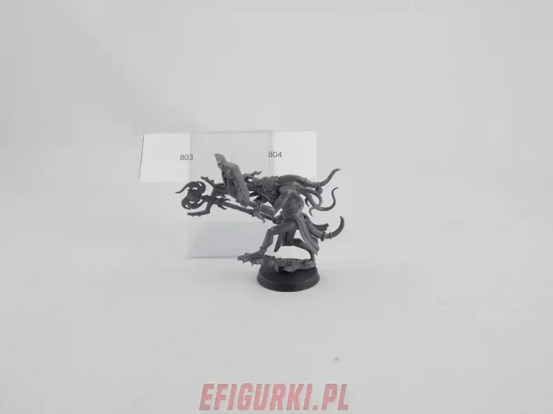 Herald Of Tzeentch Chaos Warhammer fantasy Aos 3