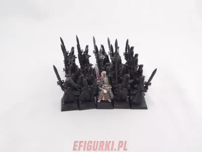 Sword Masters Of Hoeth High Elf Elves Warhammer AOS