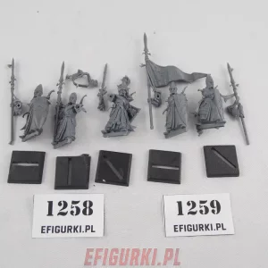 Sea Guard Command High Elf Elves Warhammer 1258-9