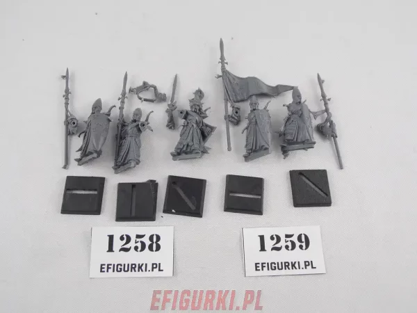 Sea Guard Command High Elf Elves Warhammer 1258-9