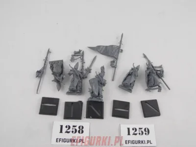 Sea Guard Command High Elf Elves Warhammer