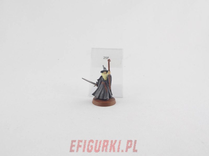 Gandalf Gondor Plastik Fellowship. Lord Of The Rings lotr 258