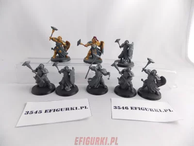 Sequitors Stormcast Eternals. Warhammer Fantasy Aos 3545-6