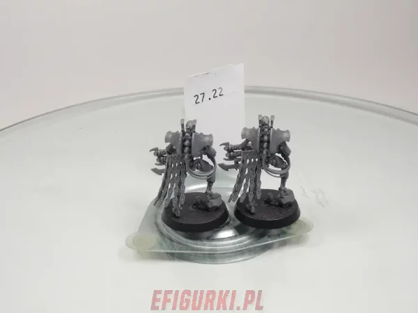 Royal Wardern Guard Necron. 27.22