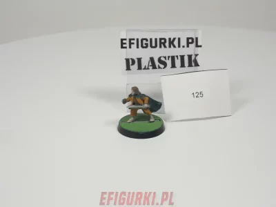Hobbit Fellowship Plastik Lotr. 125