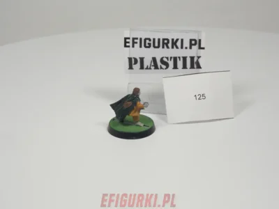 Hobbit Fellowship Plastik Lotr. 125