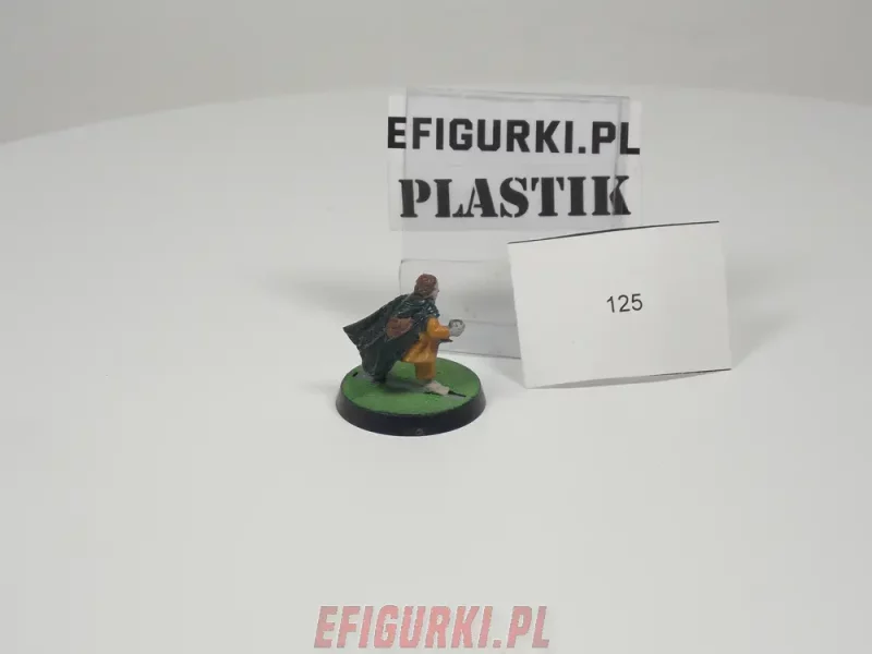 Hobbit Fellowship Plastik Lotr. 125