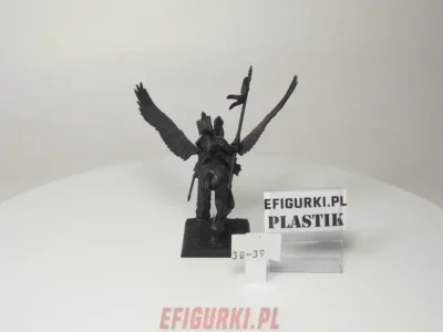 Pegasus Knight Bretonnian Standard. 3-39