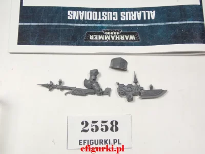 Custodian Guard Guardian Lanca. 2558