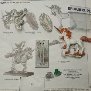 Morgiana LE FAY Enchantress. Metal Bretonnia 314 Z ŻABĄ!