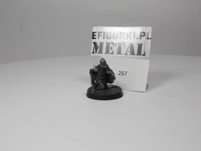 Armoured Pippin Metal Rohan. 257