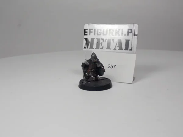 Armoured Pippin Metal Rohan. 257