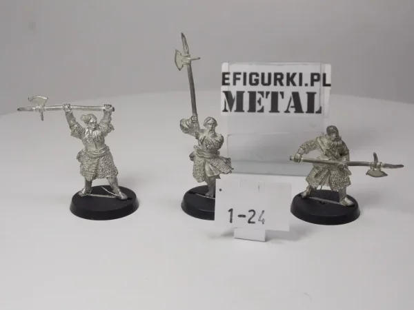 Warriors Of Fieldoms Metal. 1-24