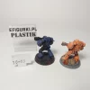 Space Marines Specjalist. 10-15