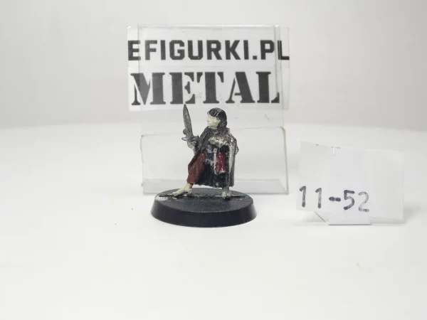 Frodo fellowship Metal. 11-52