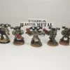 Plague Marines Metal Nurgle. x5 10-44