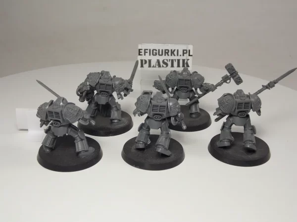 Grey knight terminator. 8-4