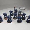 Space Marines Tactical Squad. 8-15