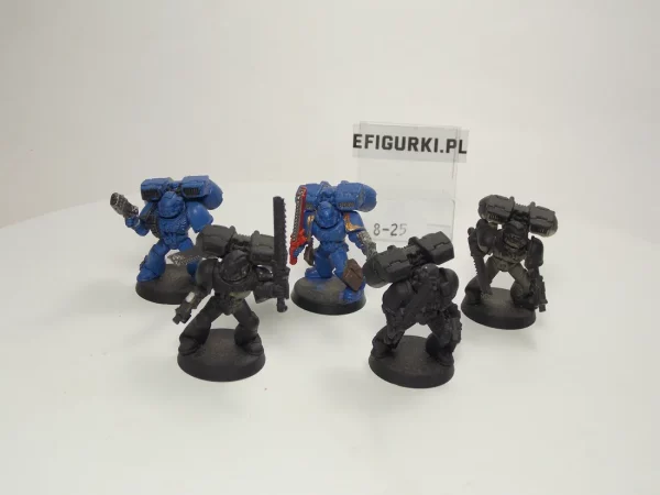 Assault Squad Space Marines. 8-25