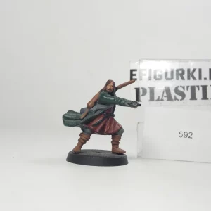 Aragorn Plastik fellowship. 592