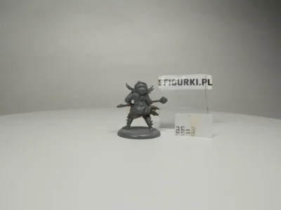 Chieftain Free Folk. 25-3.