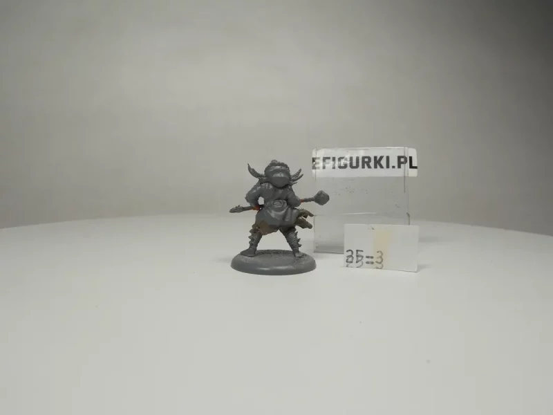 Chieftain Free Folk. 25-3.