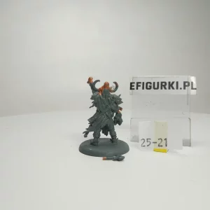 Champion Free Folk. 25-21
