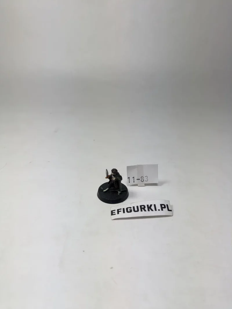 Frodo Fellowhip Kompletny Metal. 11-83