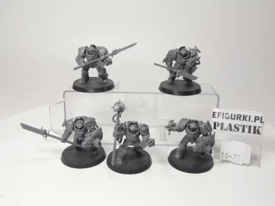 Grey Knights Terminator Squad. 8-78