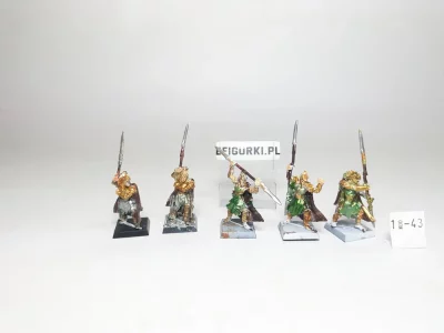 Wood elf Eternal Guard. Metal 1-43