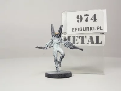 Diomedes Ekdromoi Officer. Metal 974