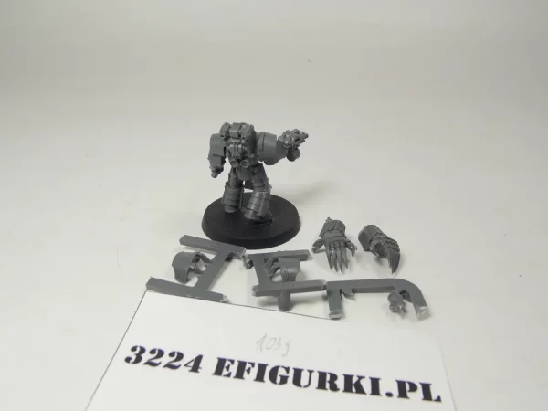 Legio Tartaros Terminator Squad. 3224
