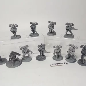 Tempestus Aquilons Kill team. Astra Militarum 13-22