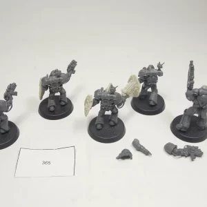 DeathWatch Veterans. Kromlech 365